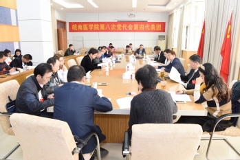 第四代表团